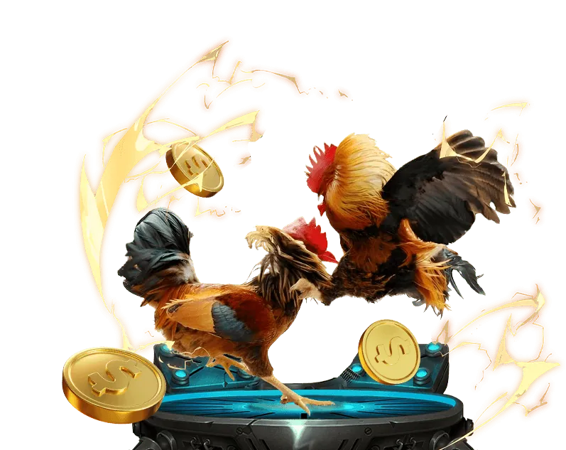 Mã hóa SSL 256-bit